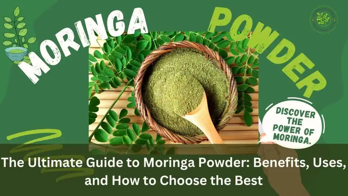 The Ultimate Guide to Moringa Powder